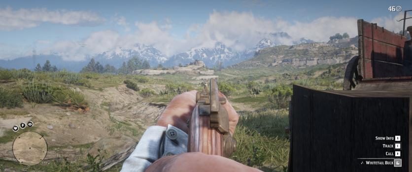 Aiming at a deer in first person